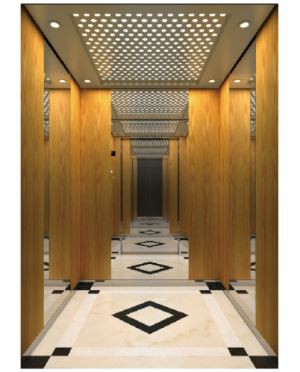 安全設計の効果的なMRL乗客リフト